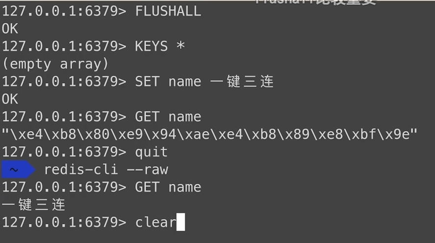 image-20240116210651823