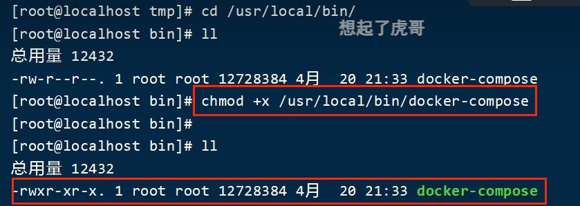 image-20240309184601649